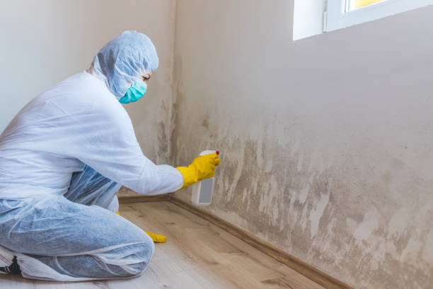 Licensed Mold Testing service in Lawrence, NY - WQB Mold Removal
